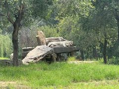 -北京野生动物园