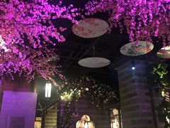 -韵秋荷(宝山龙湖天街店)