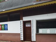 -西双版纳原始森林公园