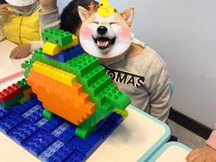 -蓝精灵创客少儿编程(百步亭中心)