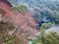 -韬光茶庵
