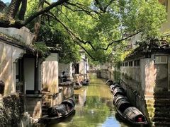 -鲁镇