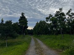 -北京鹿世界主题园