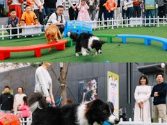 -东莞松山湖万象汇