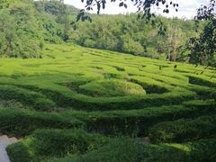 -大屏嶂森林公园