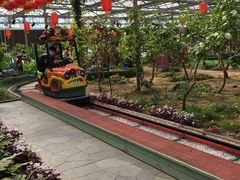 -南宫五洲植物乐园