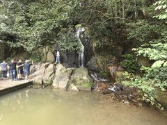 -莫干山风景区