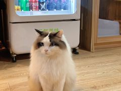 -白兔子密室(长寿路店)