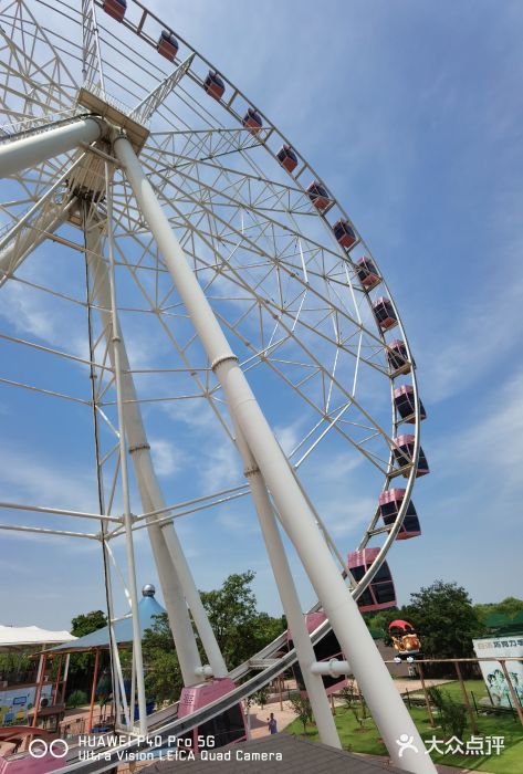 顧村公園圖片