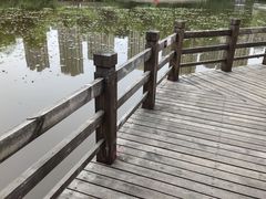 -龙头寺公园