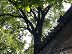 -云峰山自然风景区