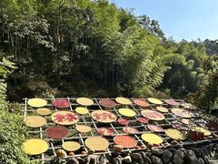 -林坑古村落