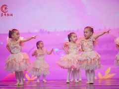 -小芳舞蹈团·少儿舞蹈·中国舞(龙江校区)