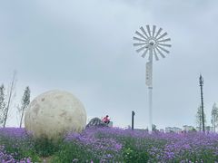 -金海湾滨江公园