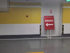 -四川大学博物馆