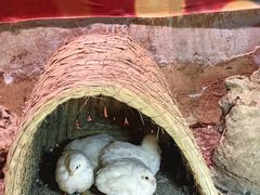 -正佳雨林生态植物园