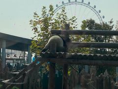 -大连森林动物园