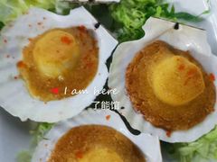 -顺德了能馆(虎门店)