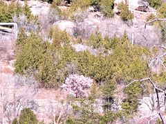 -白水寺森林公园