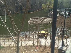 -双新垂钓园