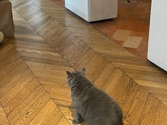 -Me Coffee下午茶艺术空间