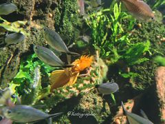 -成都浩海立方海洋公园