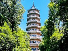 -灵谷景区