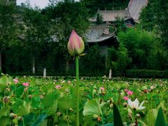 -渭南桃花源民俗文化园