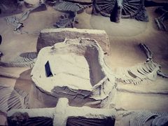 -洛阳周王城天子驾六博物馆