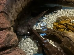 -多彩贵州城极地海洋世界