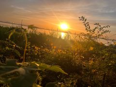 -阳澄湖半岛旅游度假区