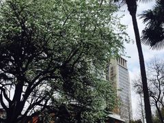 景观位-复旦大学本部-食堂