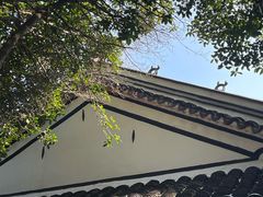 -包公祠