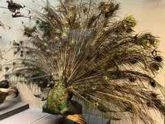 -天津自然博物馆