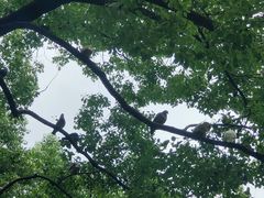 -炫方点心局(松江印象城店)