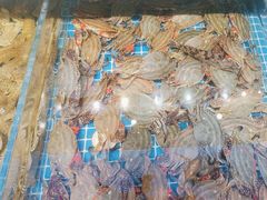 -大锅强·蒸海鲜青岛菜(吾悦广场店)