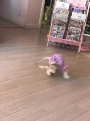 -Beauty Nails 美甲美睫皮肤管理