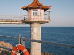 -小麦岛公园