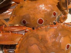 -星璞餐厅(深铁塘朗城君璞酒店)