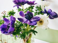 -三花屋 Mihhanaya