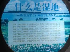-鄱阳湖国家湿地公园