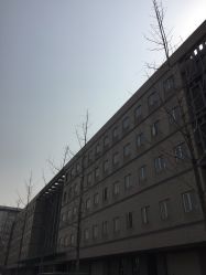 -北京大学第一医院妇产儿童医院