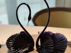 -BLACKSWAN黑天鹅(环球店)