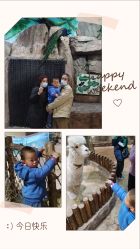 -宝燕乐园(闵行旗舰店)