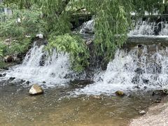 -长白岛森林公园