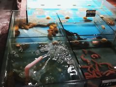 -百纳·锦绣江南 (百纳瑞汀酒店)