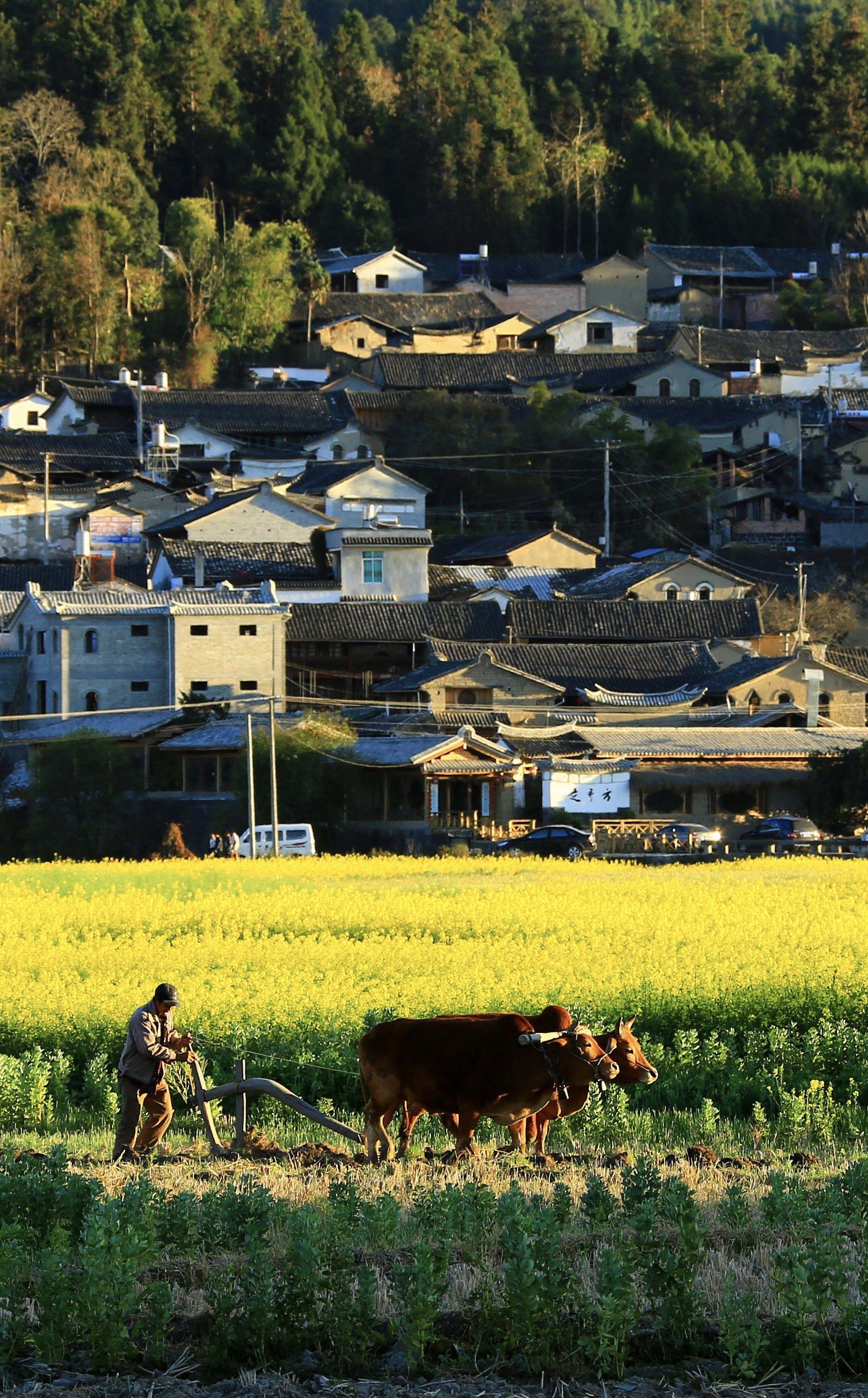 腾冲必打卡景点合集