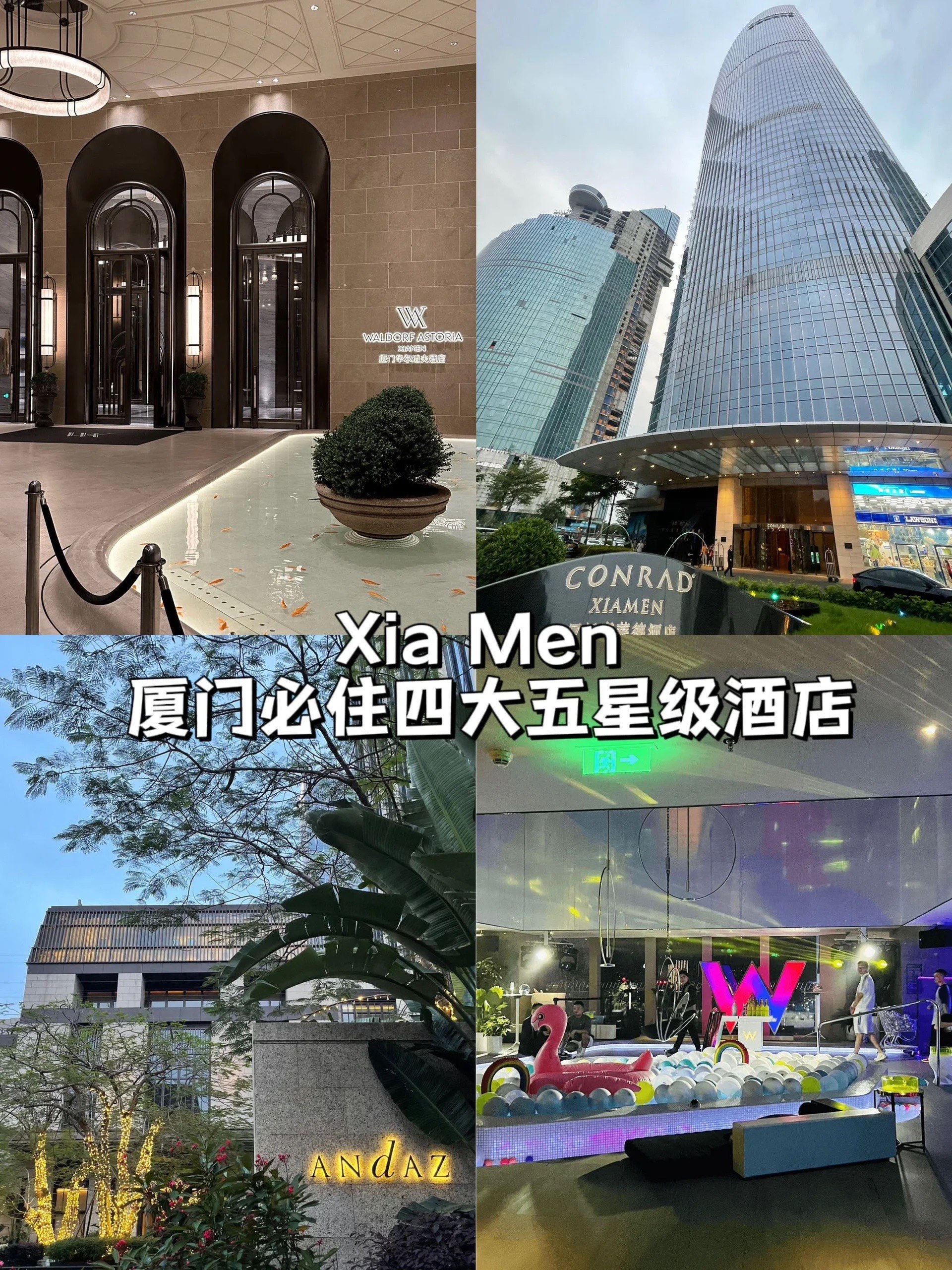 厦门金山国际酒店图片