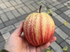 -中国农业博物馆