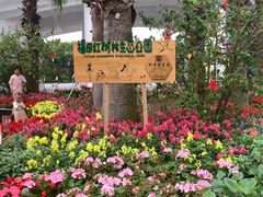 -福田红树林生态公园